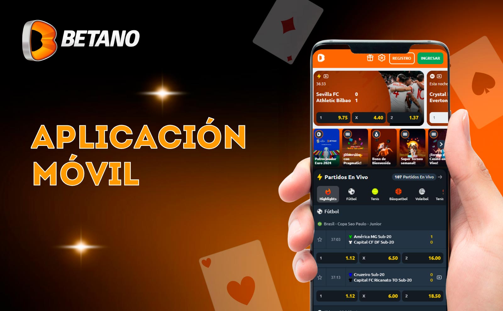 Pasos esenciales de verificación y seguridad