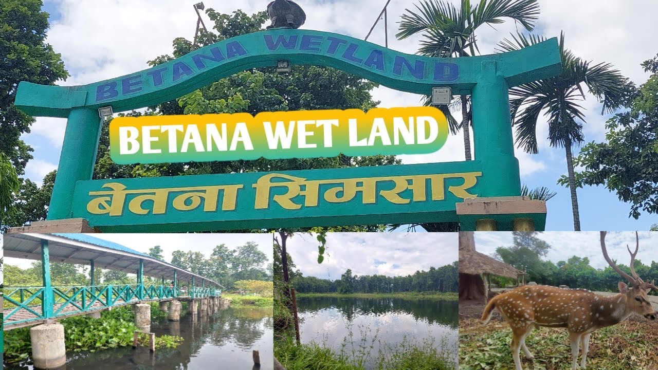 Betana seno