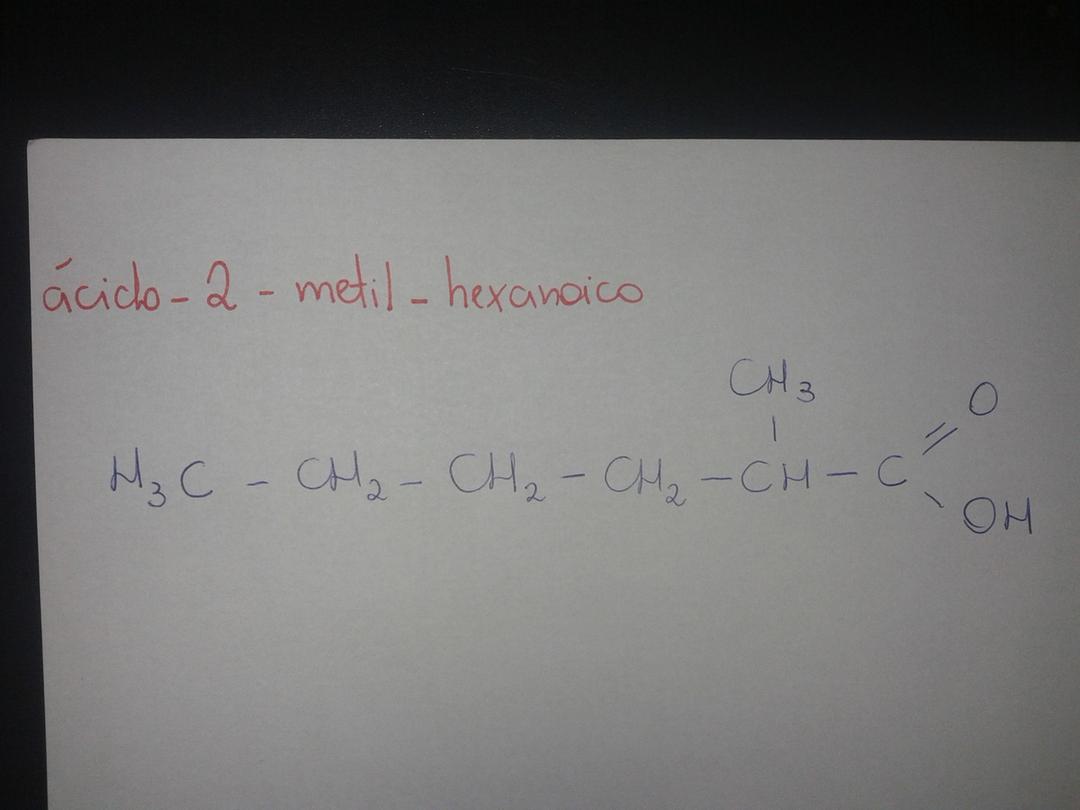 Acido 2 metil betanoico