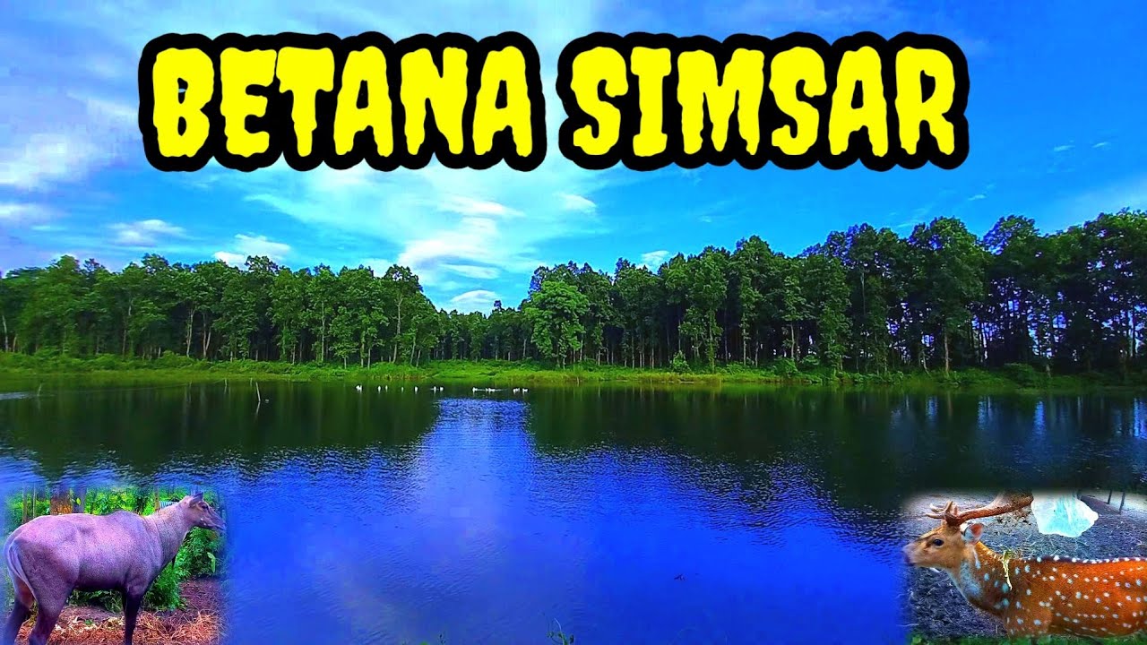 Betana sinor